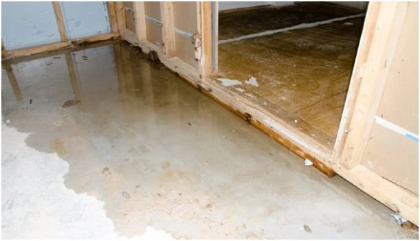 Clean the Basement Smell at the Source