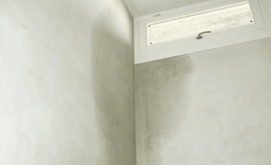 Smells, Mold, and Indoor Moisture Warnings