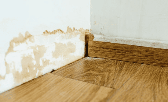 Wall and Ceiling Signs That Point to Trapped Moisture